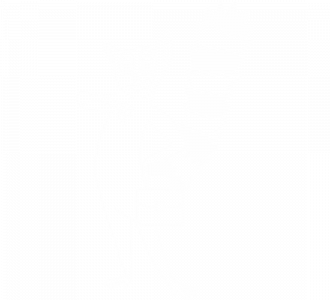Lemur - Kod Biznesu - Biznes